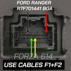 FORZA 614 - BLACK FRIDAY OFFER