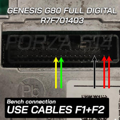 FORZA 614 - BLACK FRIDAY OFFER